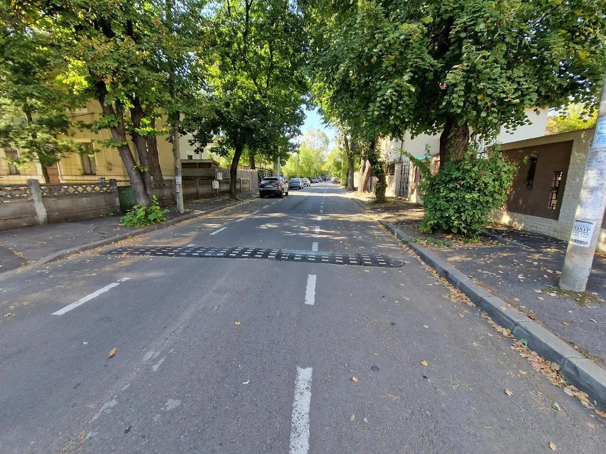 Проживание в семье Cozy Villa Near City Center, Parks And Metro Бухарест